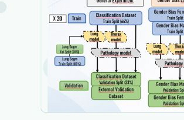 Workflow de clasificación y análisis de sesgo de género